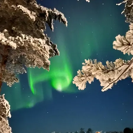 Winter Wonderland Вилла Рованиеми