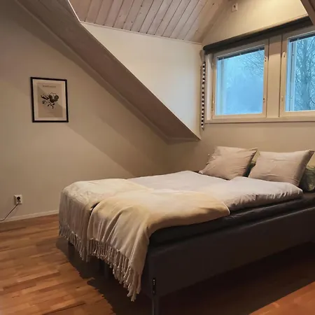 Winter Wonderland ヴィラ ロヴァニエミ