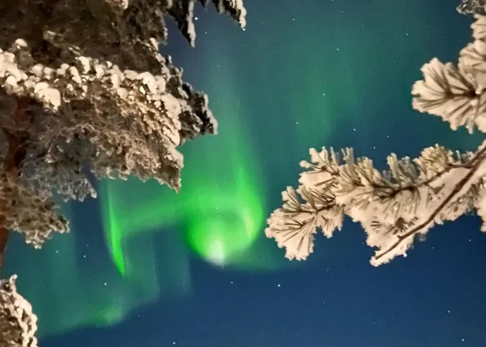 Winter Wonderland فيلة روفانييمي