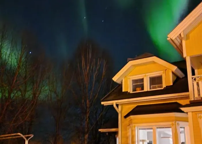 فيلة Winter Wonderland