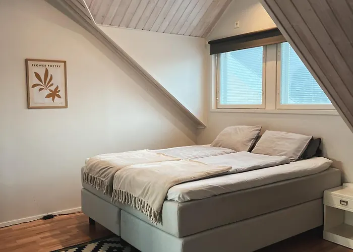 فيلة Winter Wonderland