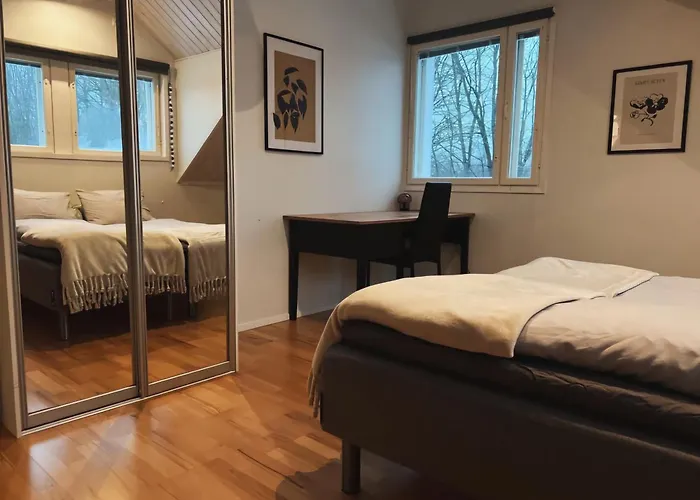 فيلة Winter Wonderland