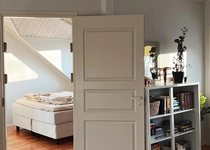 فيلة Winter Wonderland