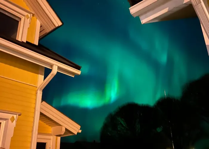 فيلة Winter Wonderland *